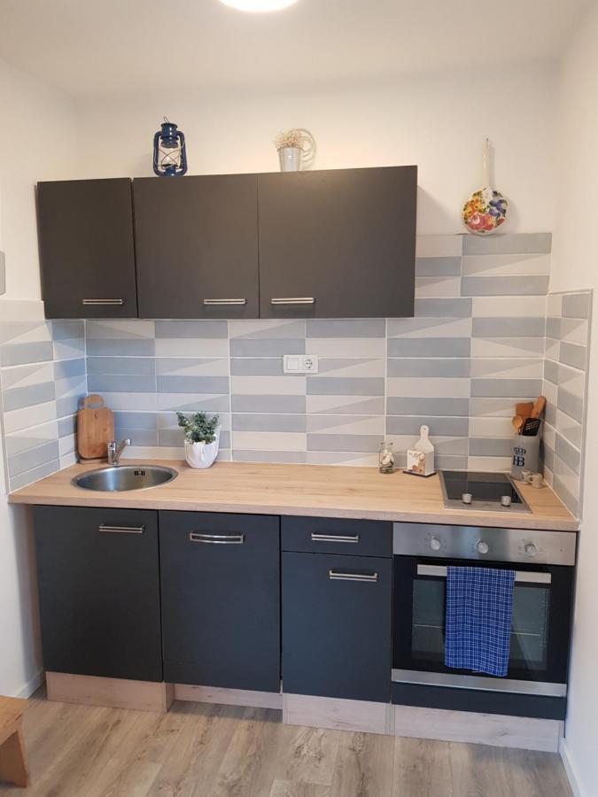 ז'אבוריץ' Apartman Alka מראה חיצוני תמונה