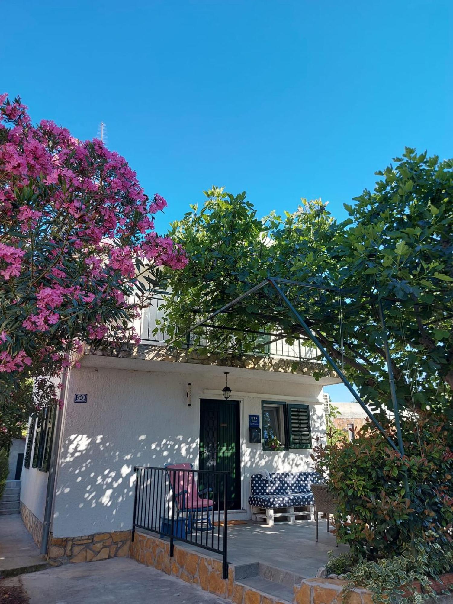 ז'אבוריץ' Apartman Alka מראה חיצוני תמונה